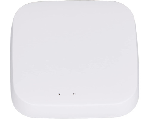 WiFi Bluetooth Hub шлюз для дистанційного керування та автоматизації Pilipane
