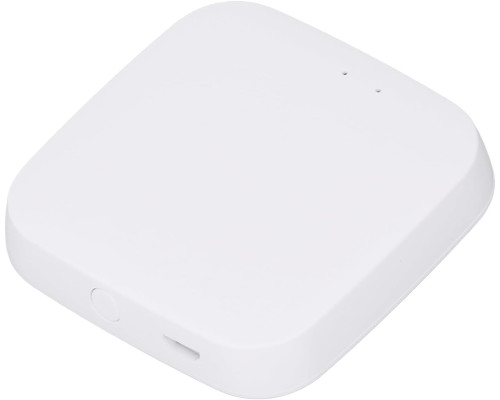 WiFi Bluetooth Hub шлюз для дистанційного керування та автоматизації Pilipane