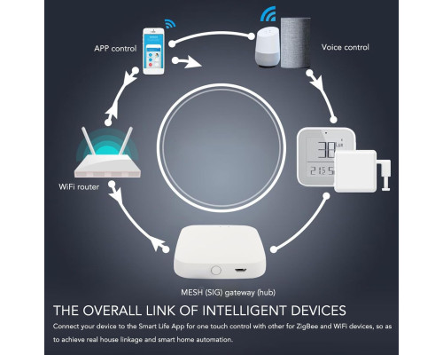 WiFi Bluetooth Hub шлюз для дистанційного керування та автоматизації Pilipane