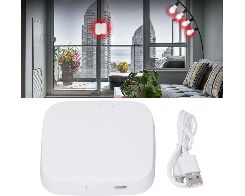 WiFi Bluetooth Hub шлюз для дистанційного керування та автоматизації Pilipane
