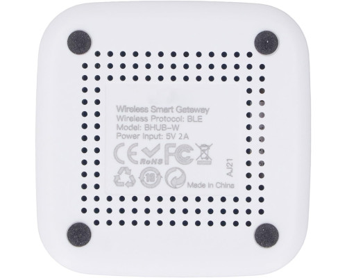 WiFi Bluetooth Hub шлюз для дистанційного керування та автоматизації Pilipane