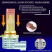 Комплект світлодіодних ламп XELORD HIR2 9012 LED 6500K