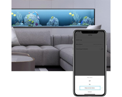 Електрична розетка для розумного будинку 16A ZigBee Tuya WiFi EU