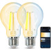Розумна лампочка Aigostar Edison WiFi E27