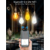 Розумна лампочка Aigostar Edison WiFi E27