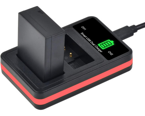 Комплект акумуляторів PowerTrust DMW-BLC12 та USB-зарядний пристрій для камер Panasonic Lumix