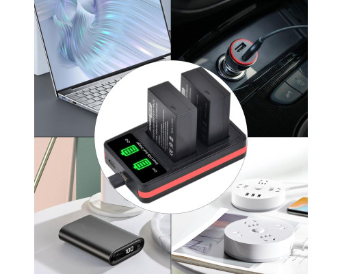 Комплект акумуляторів PowerTrust DMW-BLC12 та USB-зарядний пристрій для камер Panasonic Lumix