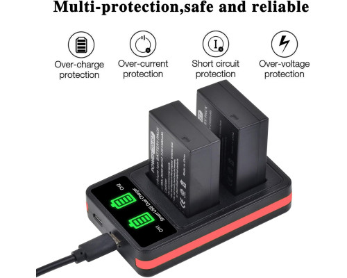 Комплект акумуляторів PowerTrust DMW-BLC12 та USB-зарядний пристрій для камер Panasonic Lumix