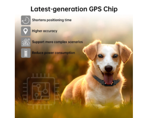 Бездротовий GPS-нашийник для собак F820
