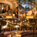 Вулична гірлянда Ollny Festoon Lights 15 м