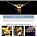 Набір світлодіодних ламп для LEGO 75979 Harry Potter Hedwig