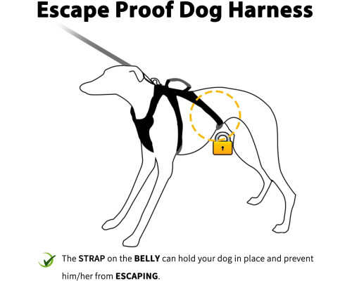 Шлейка для собак Huntboo No Escape