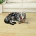 Інтерактивна автоматична іграшка для котів Nepfaivy Cat Toy Bird Electric
