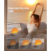 Будильник зі сходом сонця Dreamegg Sunrise